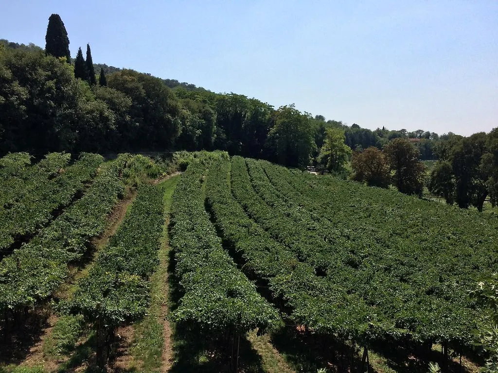 Villa Sogara San Martino Buon Albergo Italy