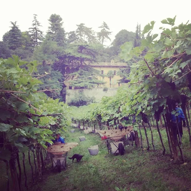 Villa Sogara San Martino Buon Albergo